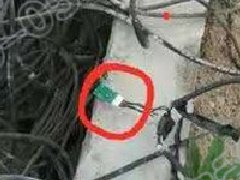 鋼材廠磅房老李憑借多年過磅經驗讓稱重遙控作弊露出端倪