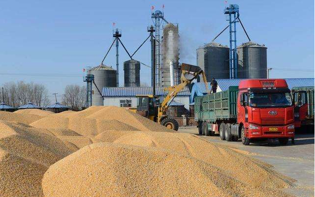 衡安無(wú)人值守稱重軟件 衡安無(wú)人值守稱重軟件