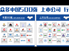 衡安軟件在各地有分公司嗎？