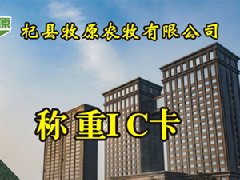 糧食收購(gòu)稱重管理系統(tǒng)方案