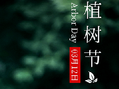 植樹節|種下希望